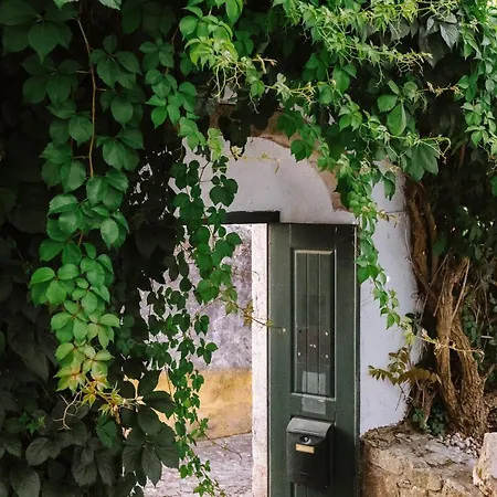 Casa Antonio Moreira 奥比多斯